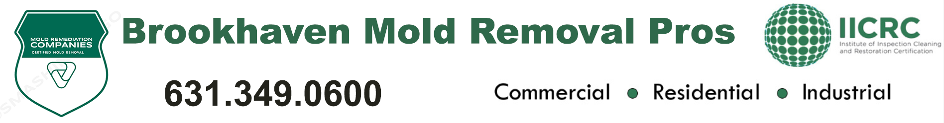 Brookhaven Mold Removal Pros