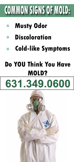 Brookhaven Mold Remediation Contractor
